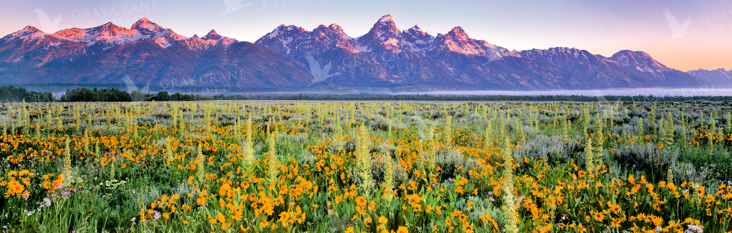 Antelope Flats Watercolor Print