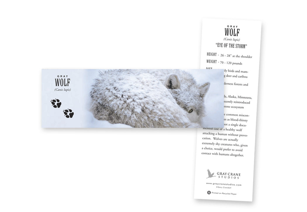 Eye of the Storm Bookmark