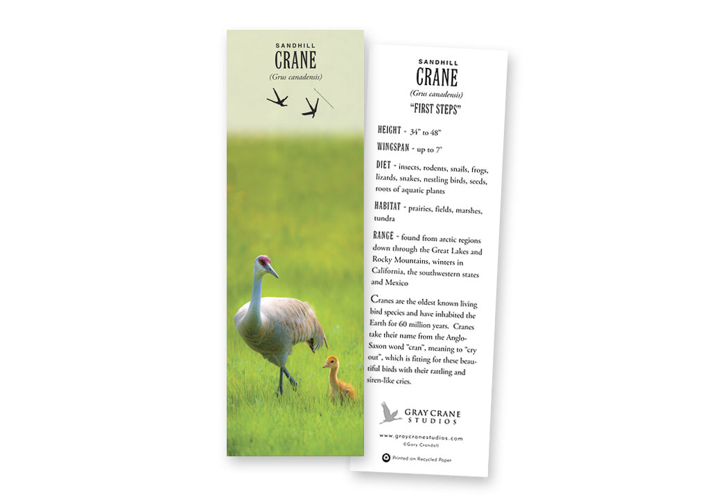 First Steps Bookmark