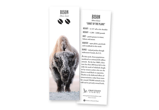 Ghost of the Plains Bookmark