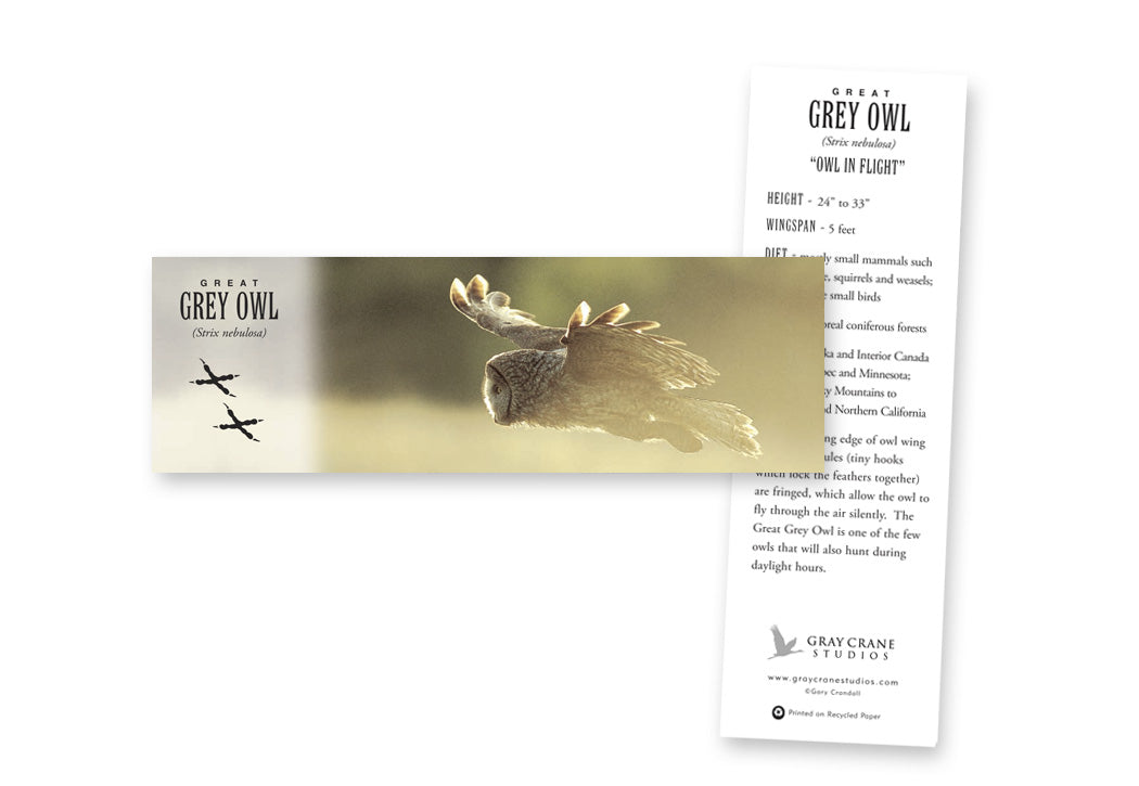 Great Gray in Flight Bookmark