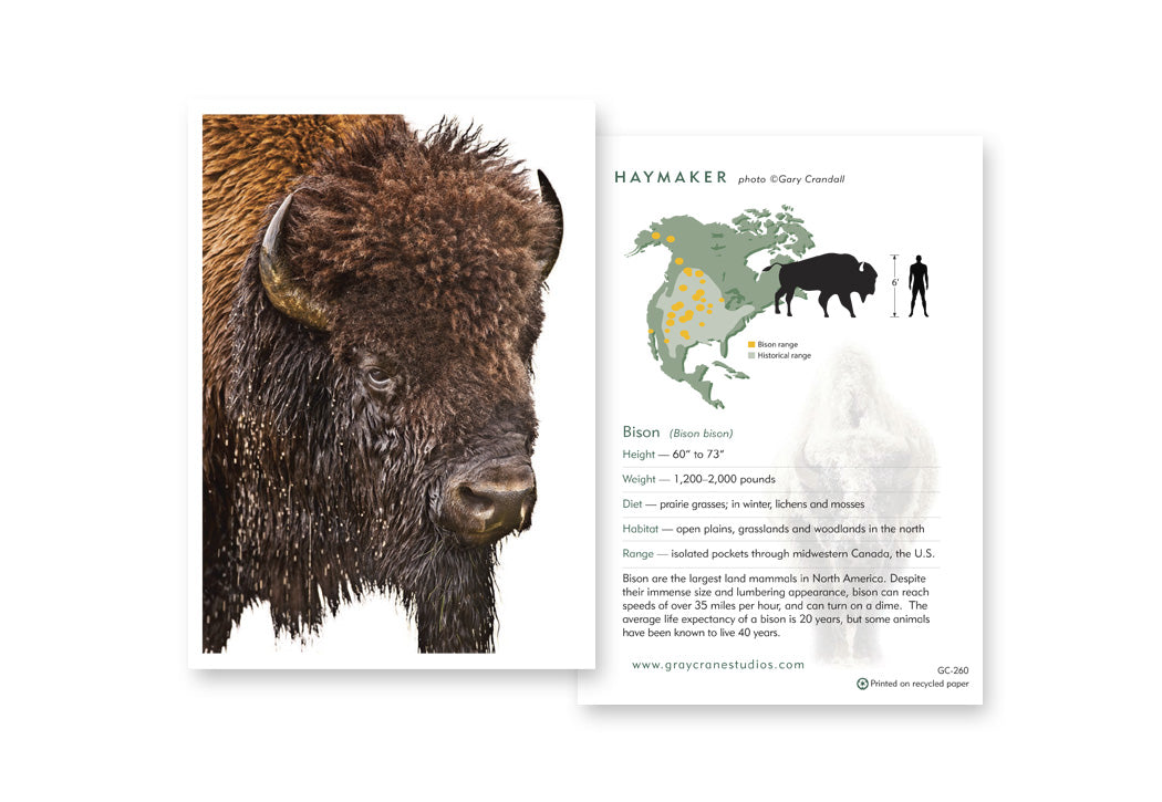 Haymaker Notecard