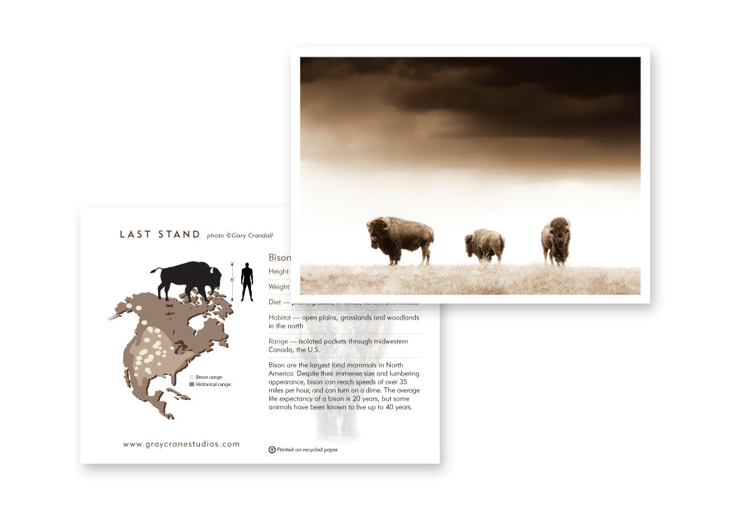 Last Stand Notecard