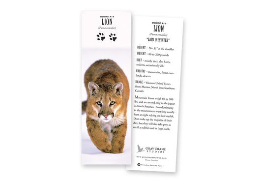 Lion in Winter Bookmark