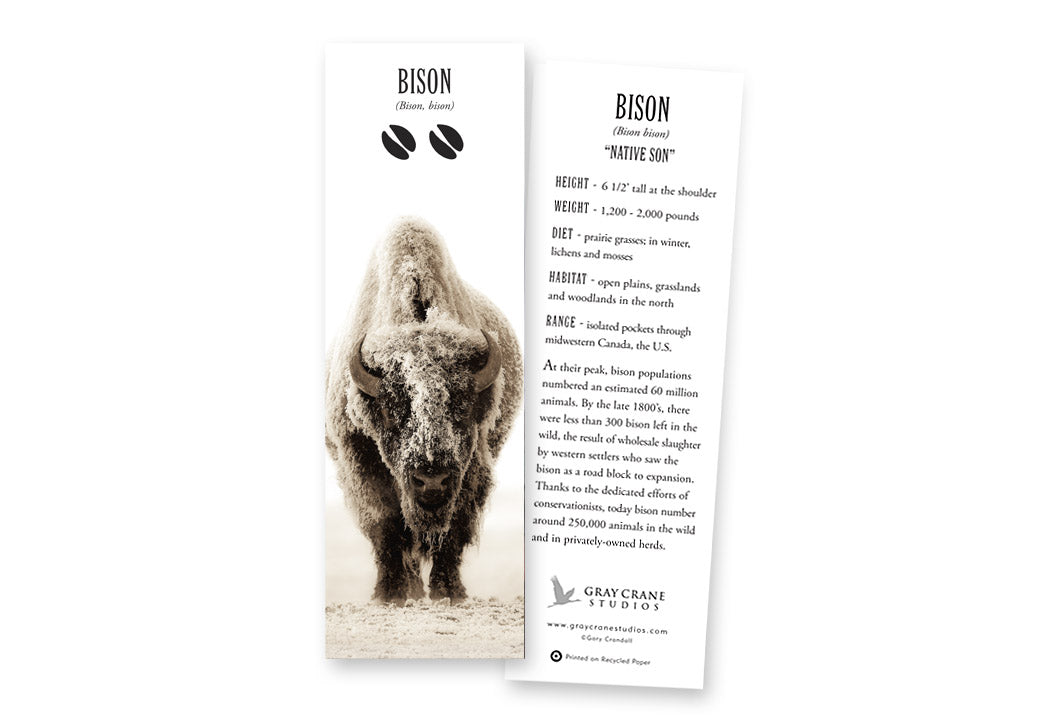 Native Son Bookmark