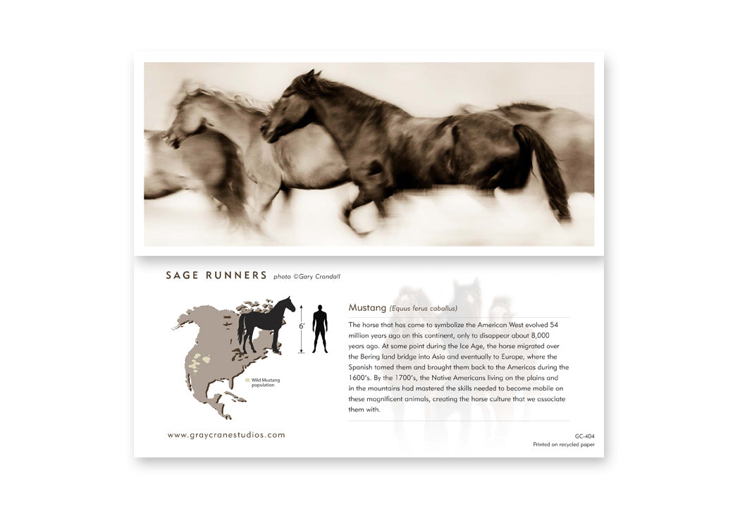 Sage Runners Notecard