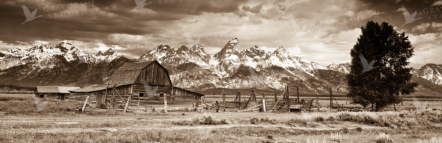 Sepia Barn Watercolor Print