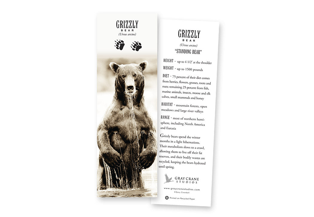 Standing Bear Bookmark