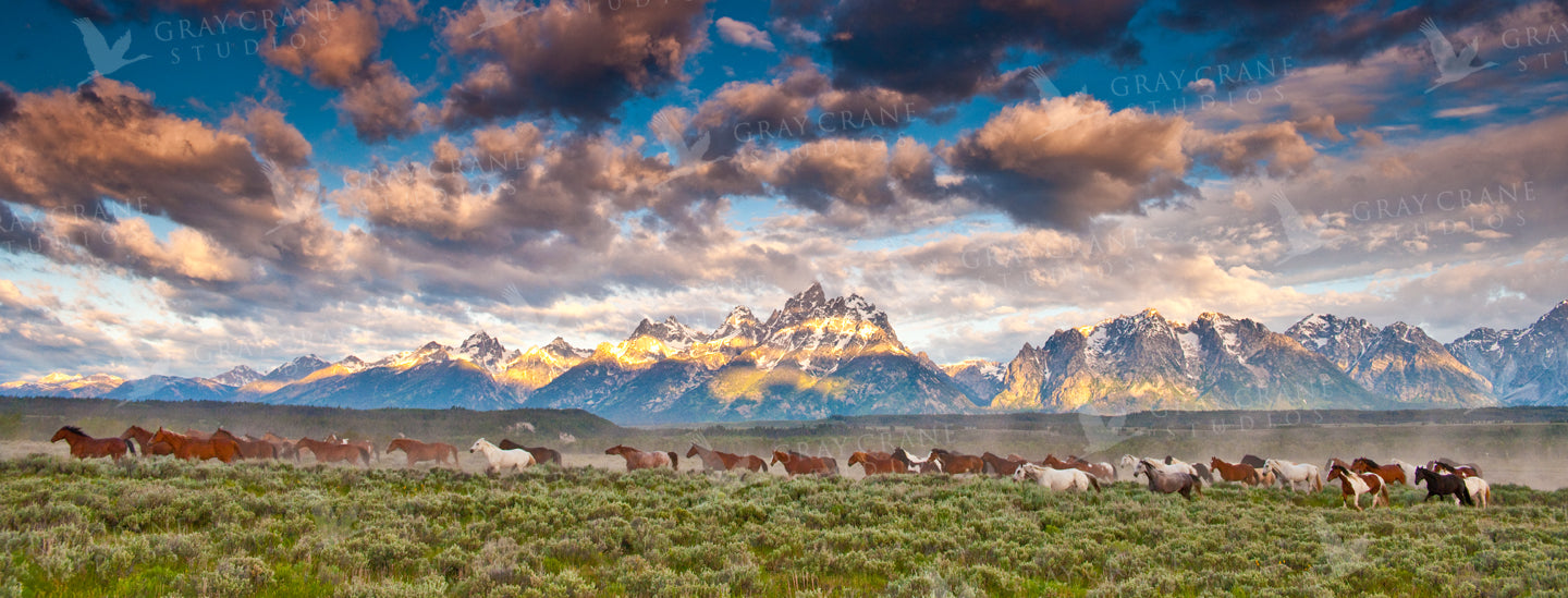 Teton Exacta Watercolor Print