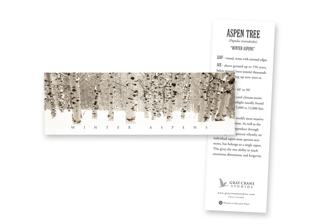 Winter Aspens Bookmark