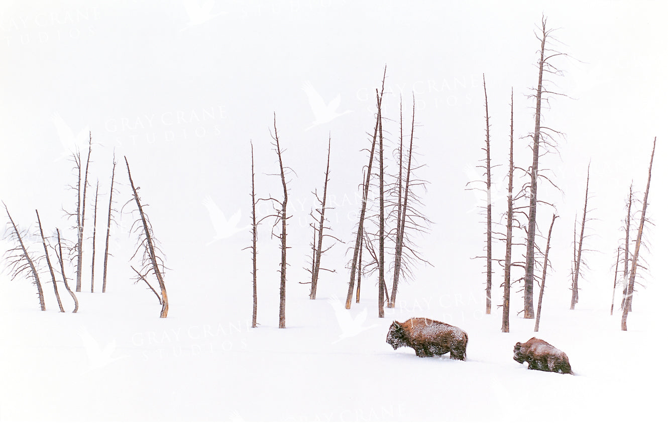 Winter Travelers Watercolor Print