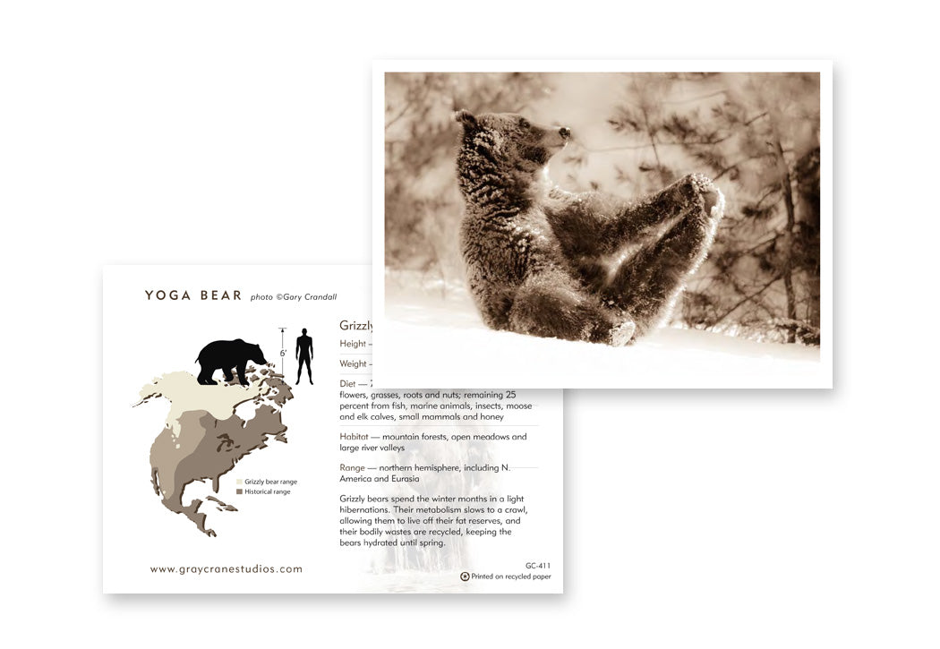 Yoga Bear Notecard