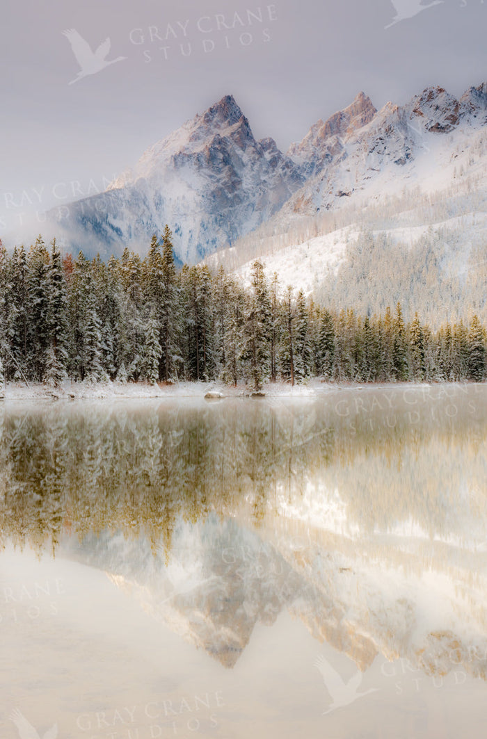 Misty Tetons