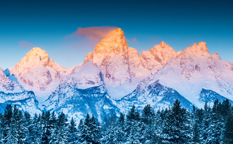 Tetons & Yellowstone