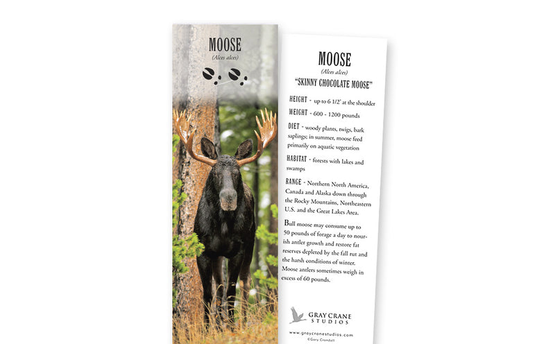 Bookmarks