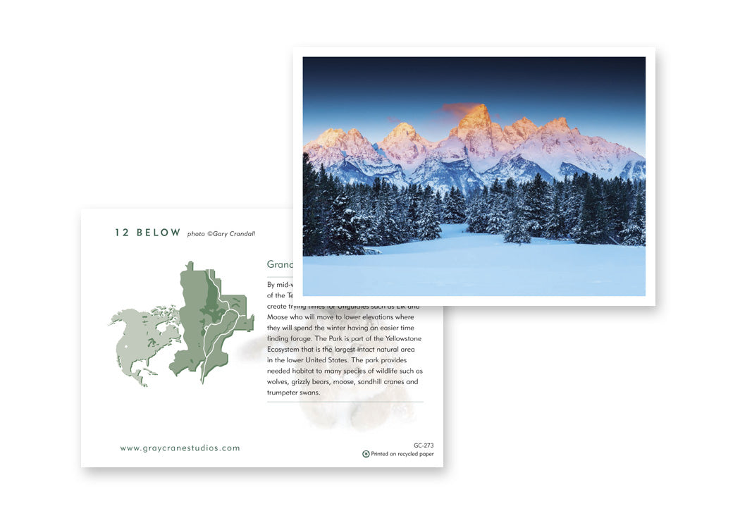 12 Below Notecard