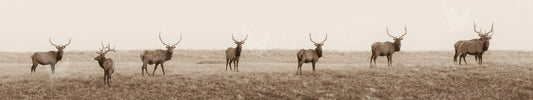 Elks Club — watercolor print by Gary Crandall