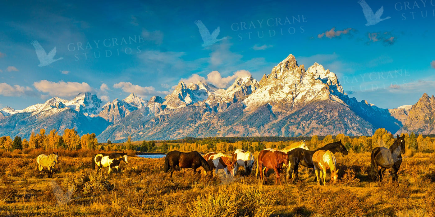 Horses & Tetons Watercolor Print