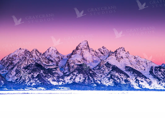 Majesty — watercolor print by Gary Crandall