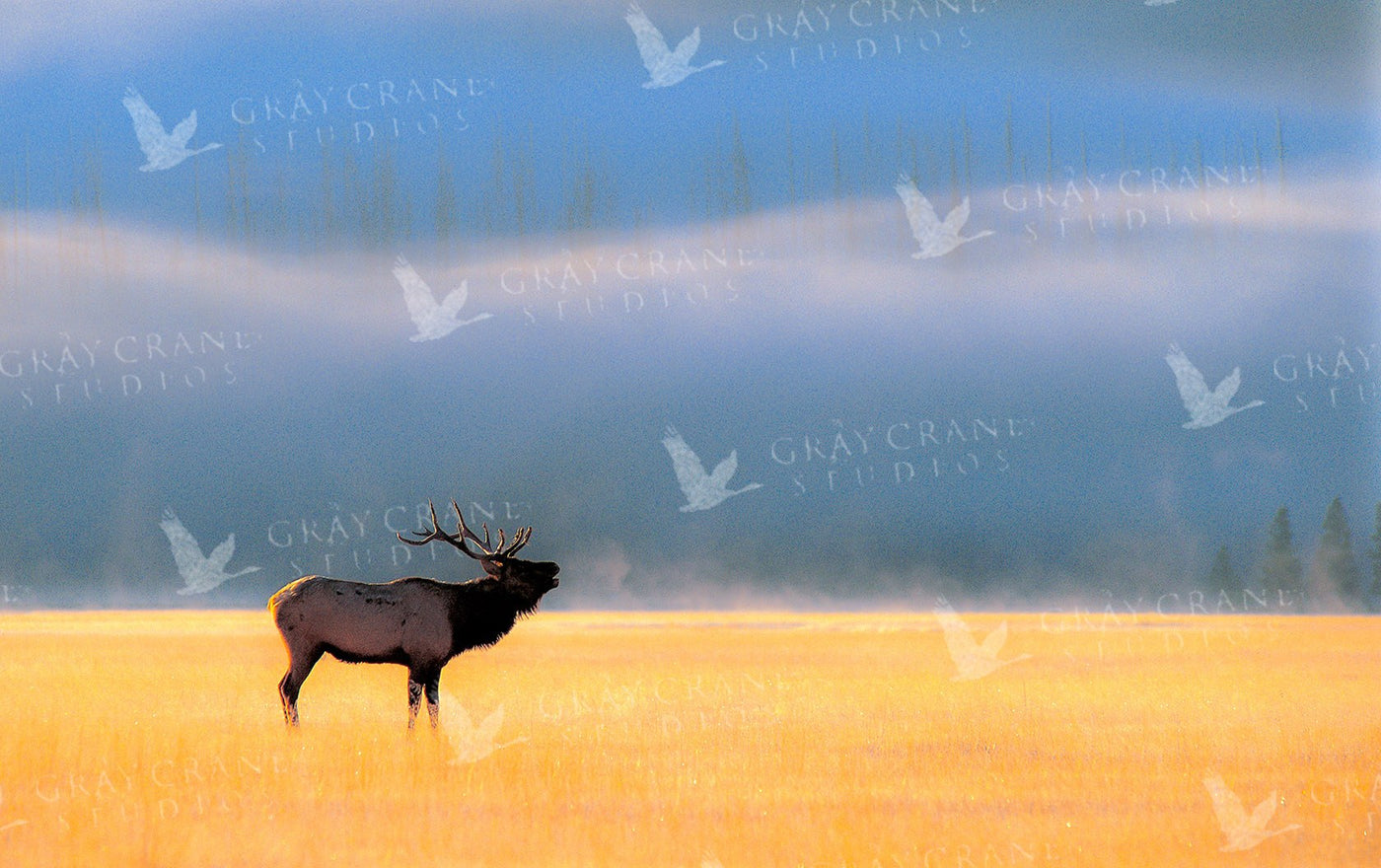 Morning Fog Watercolor Print