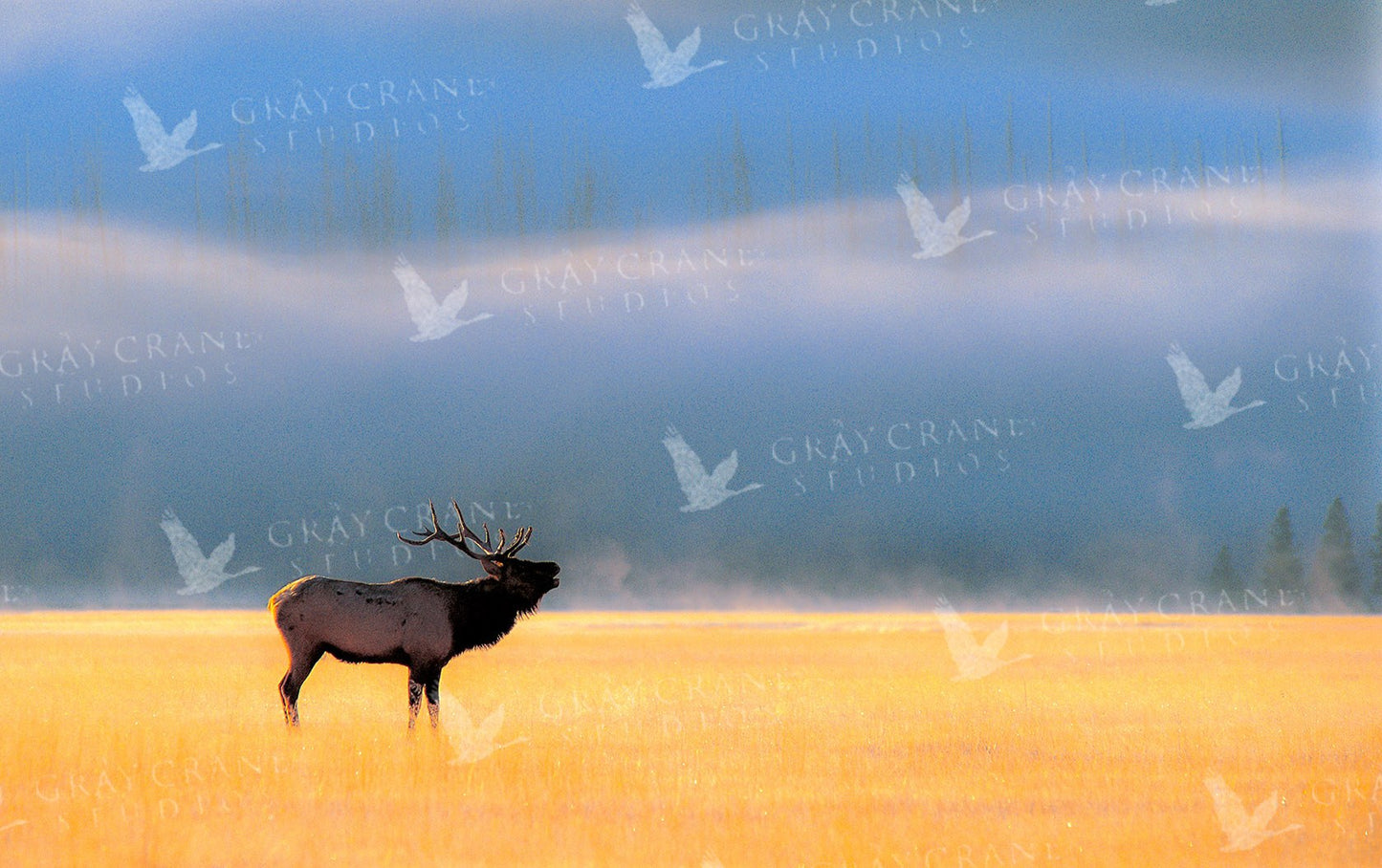 Morning Fog — watercolor print by Gary Crandall