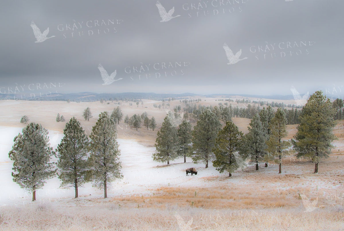 My Thanksgiving — watercolor print by Gary Crandall