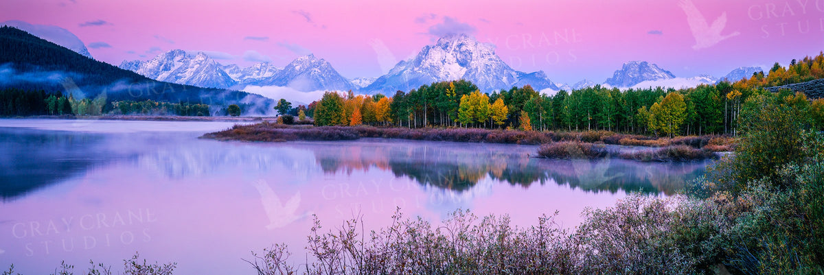Oxbow In Pink Watercolor Print