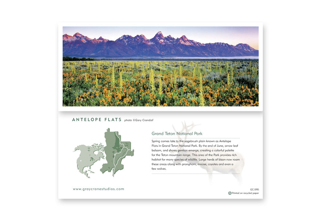 Antelope Flats Notecard