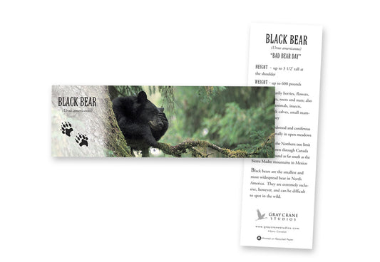 Bad Bear Day Bookmark