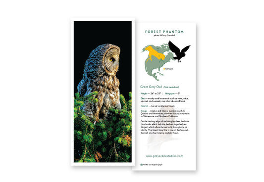 Forest Phantom Notecard