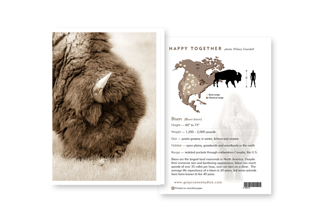 Happy Together Notecard
