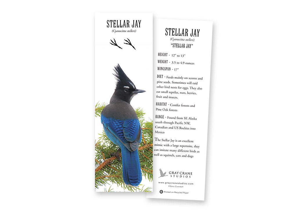 Stellar Jay Bookmark
