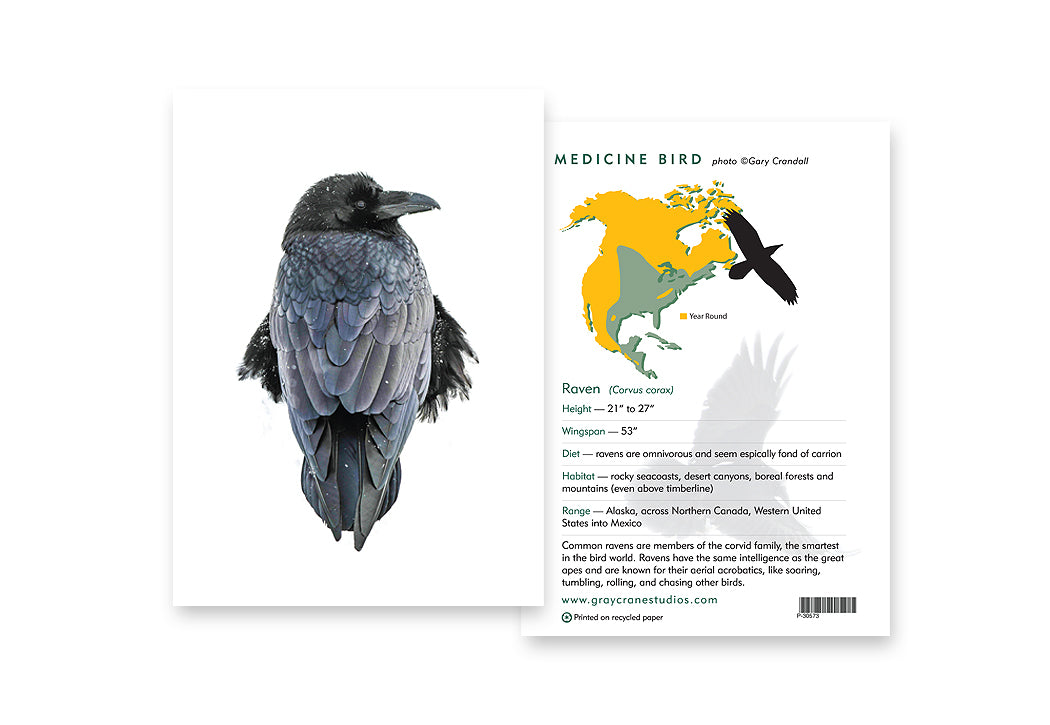 Medicine Bird Notecard