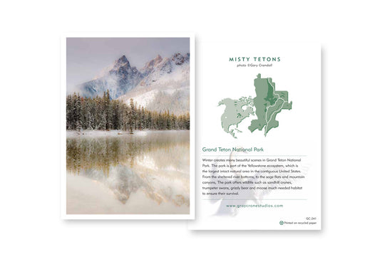 Misty Tetons Notecard