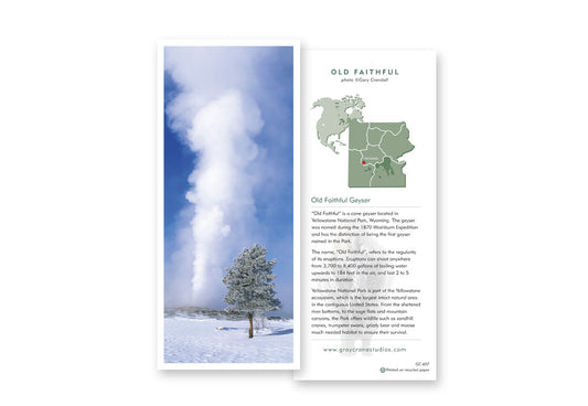 Old Faithful Notecard