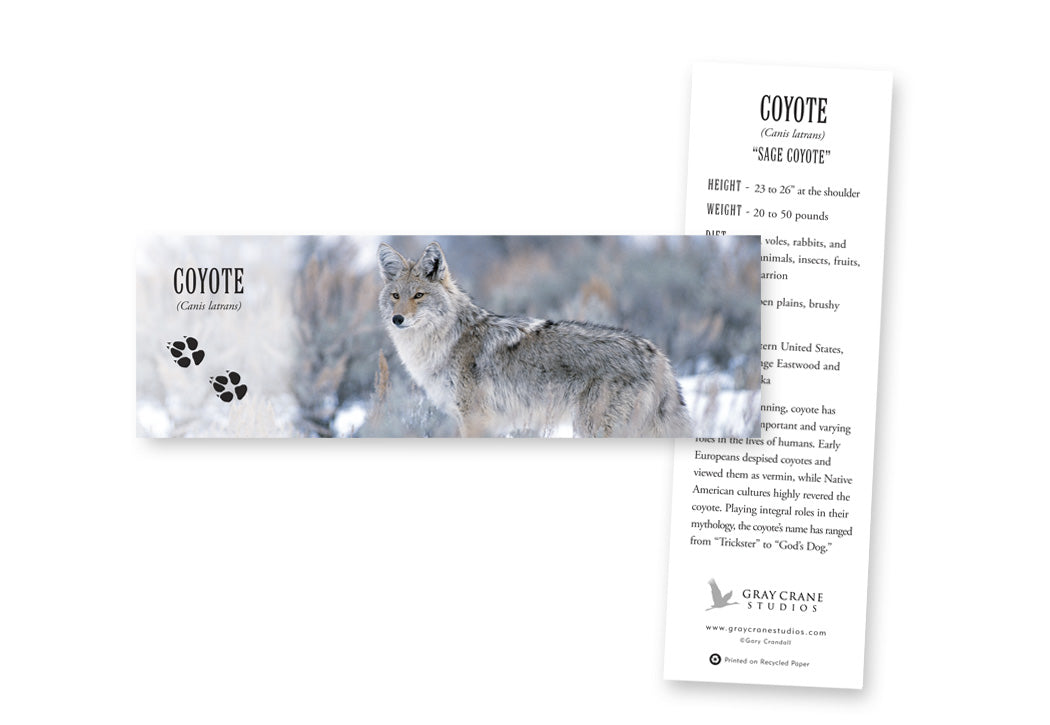 Sage Coyote Bookmark