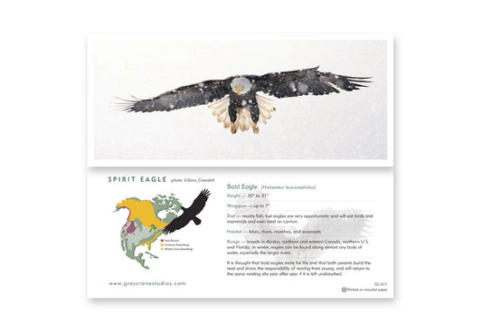 Spirit Eagle Notecard