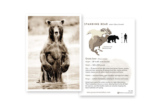 Standing Bear Notecard