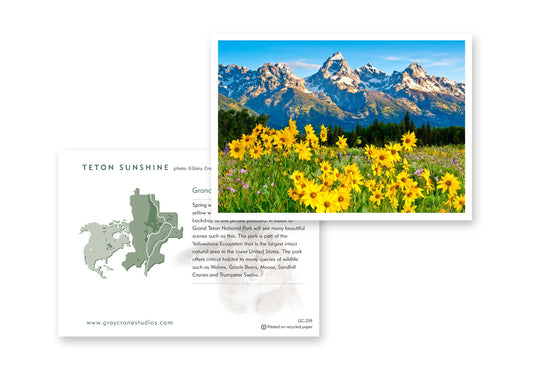 Teton Sunshine Notecard