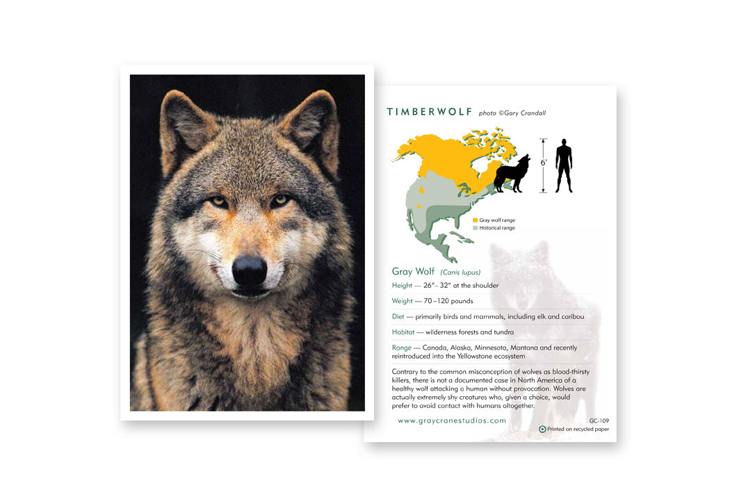 Timberwolf Notecard