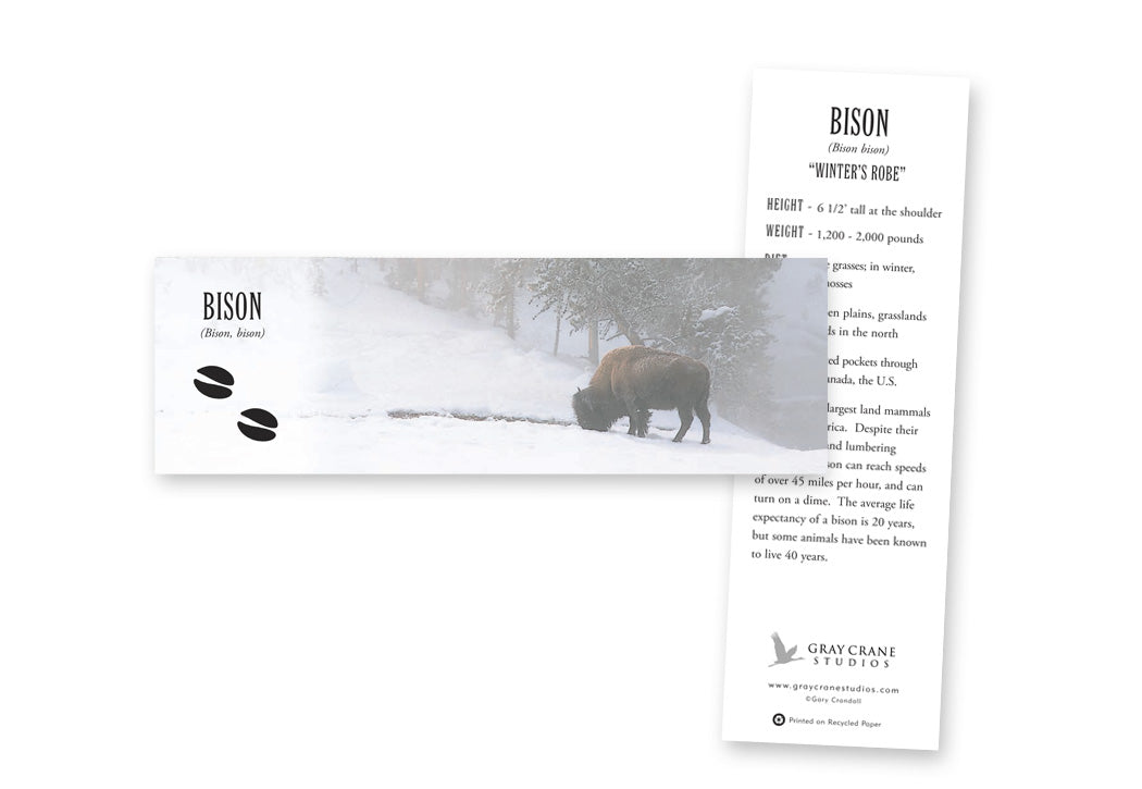 Winters Robe Bookmark